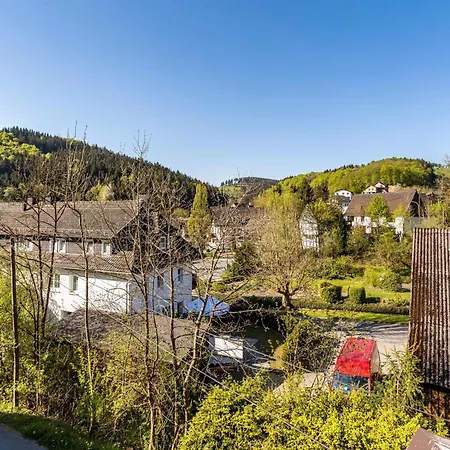 Haus Waldesruh Дом отдыха Медебах